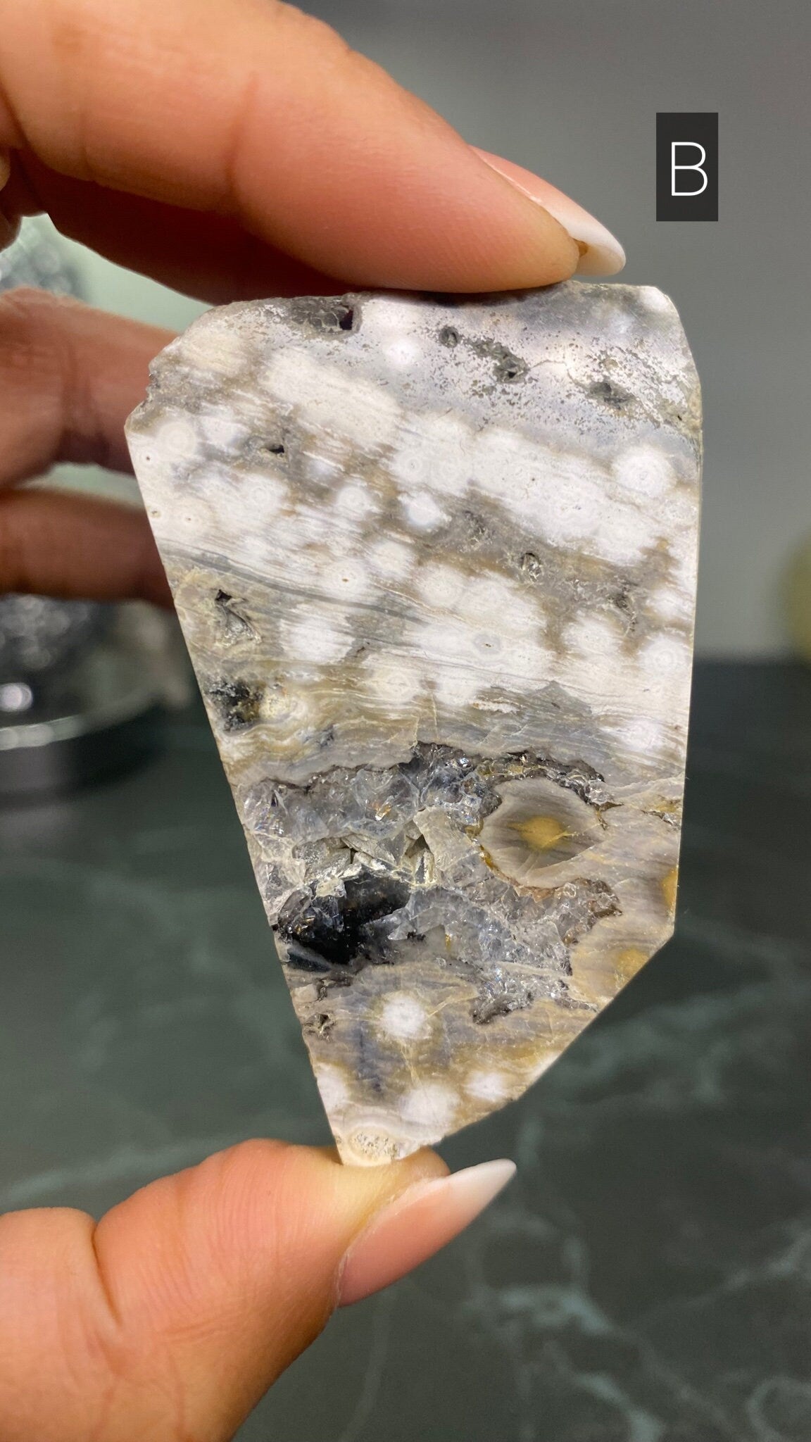 Ocean Jasper Free Froms